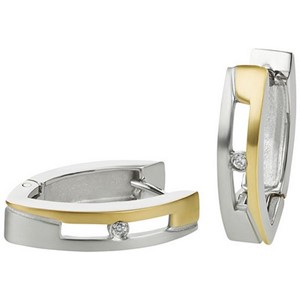Bild von Creolen Edelstahl mit Zirkonia oval 