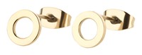 Bild von Titan-Ohrstecker PVD Gold