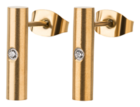 Bild von Titan-Ohrstecker PVD Gold