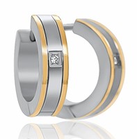 Bild von Creole Titan mit Zirkonia bicolour PVD Gold