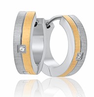 Bild von Creole Titan mit Zirkonia bicolour PVD Gold
