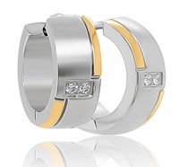 Bild von Creole Titan mit Zirkonia bicolour PVD Gold
