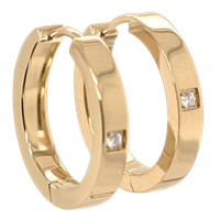 Bild von Creolen Titan mit Diamant pro Stein 0,015 ct W/Si  -  2 Farben matt oder glänzend 