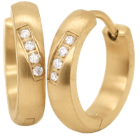 Bild von Creolen Titan mit 8 Diamanten á 0,010 Ct / 2 Farben matt/ice oder glänzend 