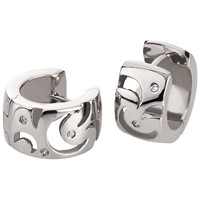 Bild von Edelstahl Creolen mit Zirkonia