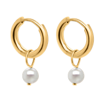 Bild von Creole Titan mit Charm Perle Titan oder Titan PVD Gold 