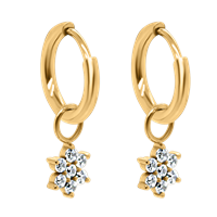 Bild von Creole Titan mit Charm Stern Titan oder Titan PVD Gold 
