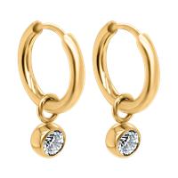 Bild von Creole Titan mit Charm Stein rund Titan oder Titan PVD Gold 
