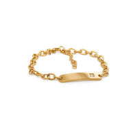 Bild von Edelstahl ID-Armband mit Zirkonia 17+4cm / 2 Modelle